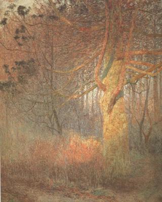Emile Claus Tree in the Sun (nn02) Germany oil painting art